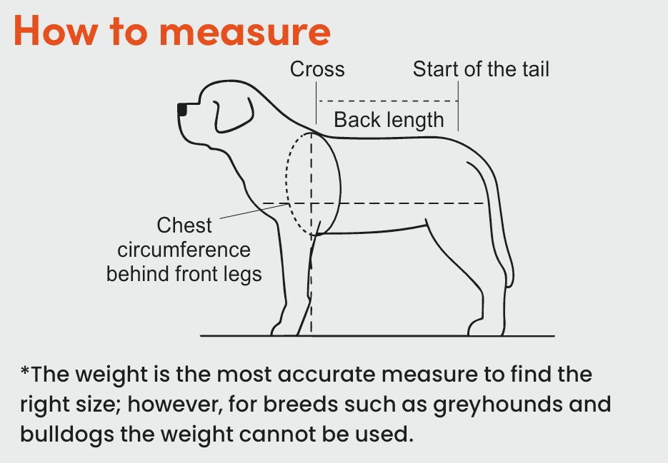 Dog measuring diagram showing weight, back length from withers to tail, and chest circumference behind the front legs.
