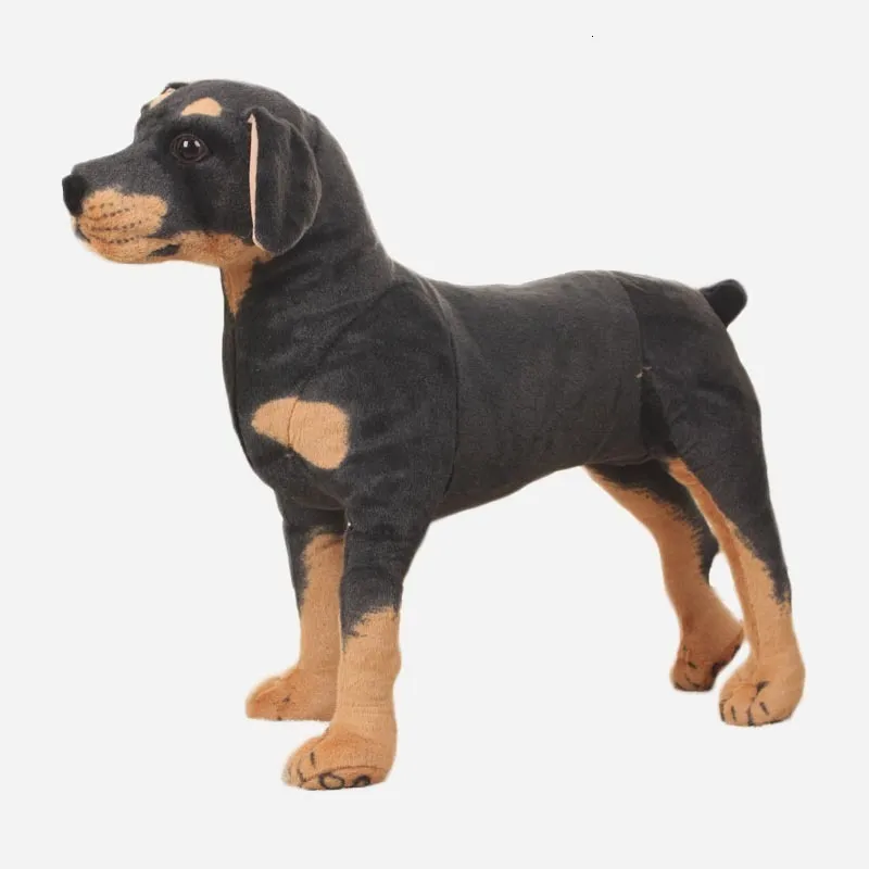 CopperBody display dog model