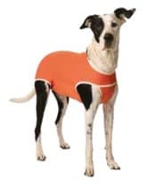 Luna & Milo CopperBody Classic #5