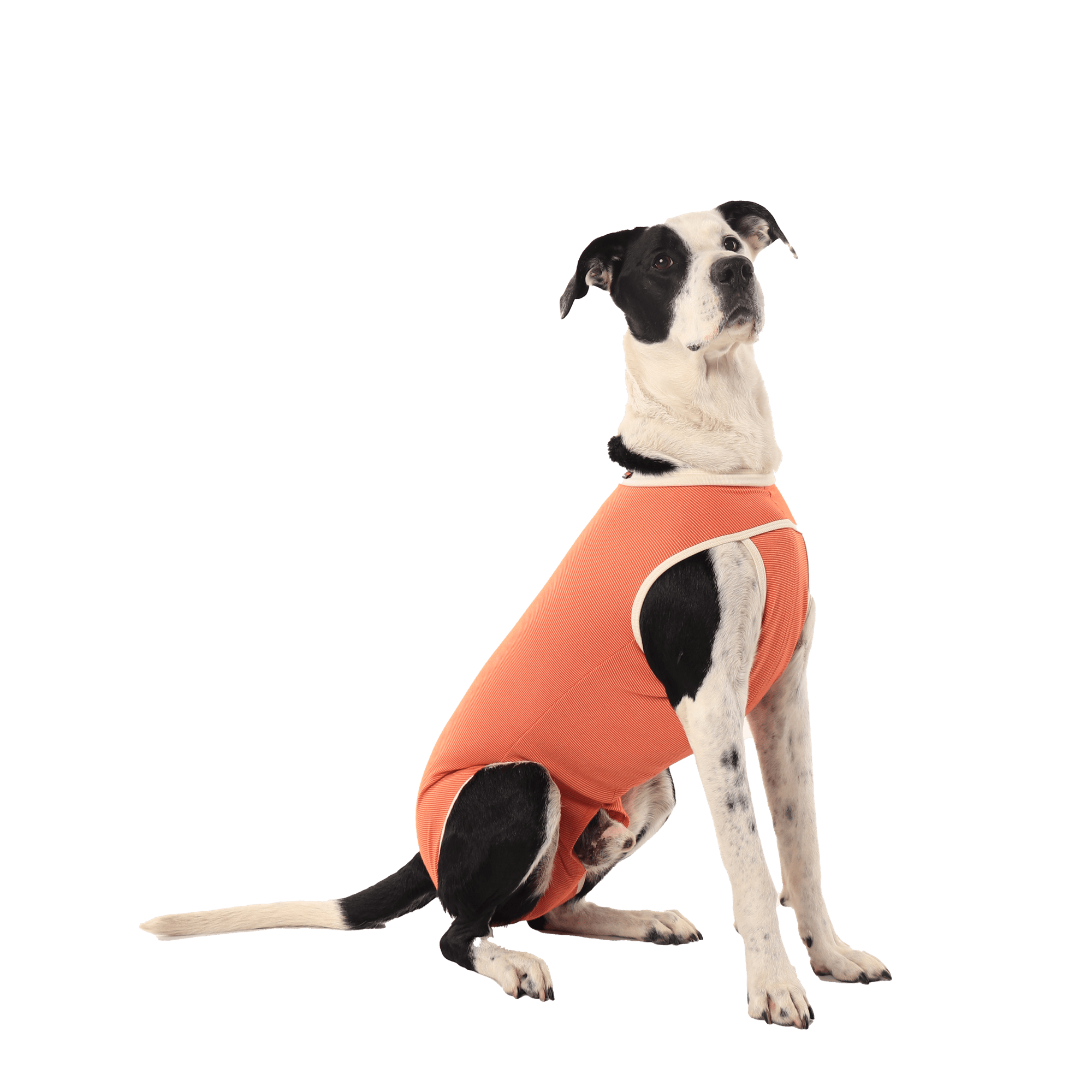 Luna & Milo CopperBody Castration #0