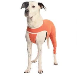 Luna & Milo CopperBody Hind Legs Size 3