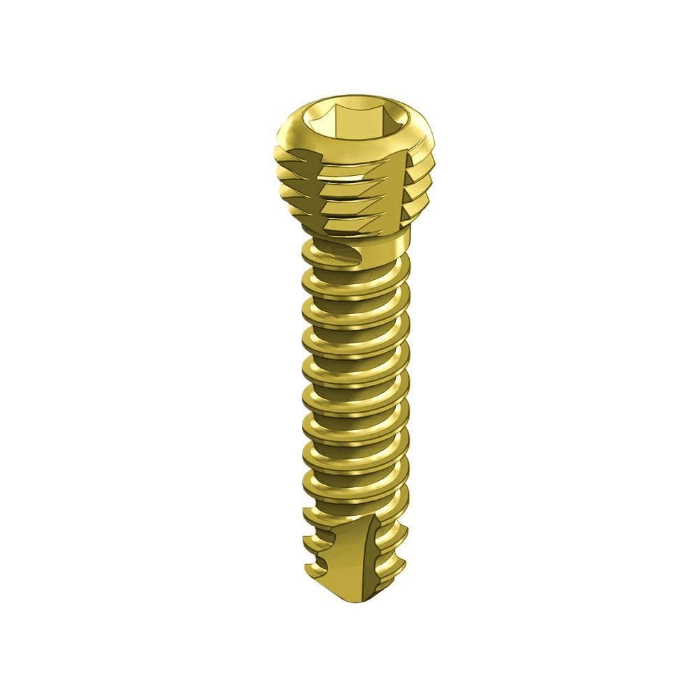 CBLO Locking Screw 2.0mm